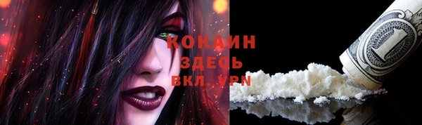 ECSTASY Майский