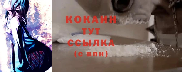 ECSTASY Майский