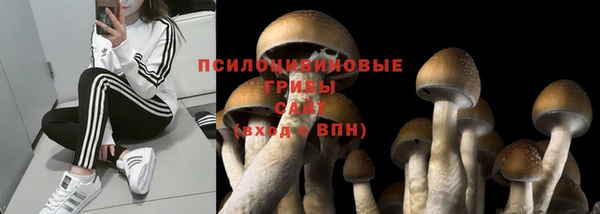 таблы Магас
