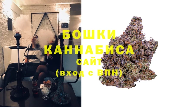 ECSTASY Майский