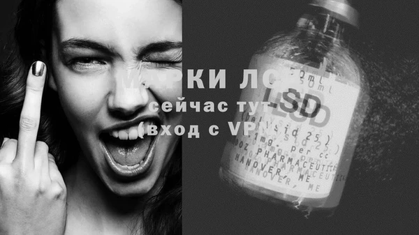 ECSTASY Майский